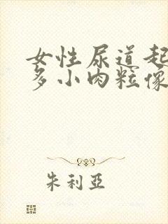 女性尿道起了好多小肉粒像小米粒