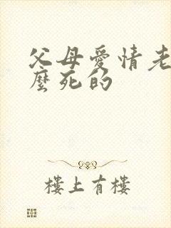 父母爱情老丁怎么死的