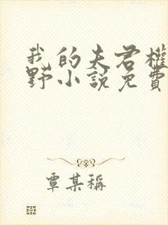 我的夫君权倾朝野小说免费阅读