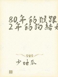 80年的猴跟82年的狗结婚好吗