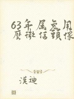 63年属兔用什么微信头像好封面