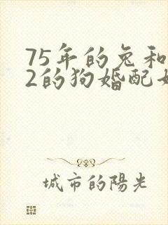 75年的兔和82的狗婚配好吗