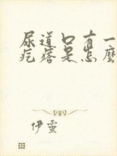 尿道口有一个小疙瘩是怎么回事