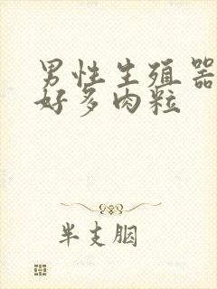 男性生殖器上长好多肉粒