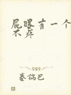 屁眼有一个肉球不疼封面