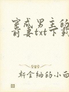 穿成男主的炮灰前妻txt下载封面