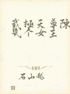 武极天尊陈天极几个女主