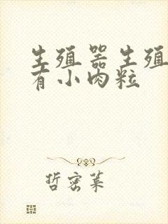 生殖器生殖器上有小肉粒