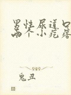 男性尿道口长了两个小疙瘩