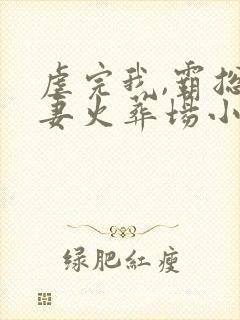 虐完我,霸总追妻火葬场小说