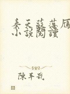 秦天苏落雁正版小说阅读