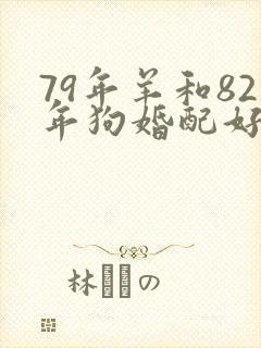 79年羊和82年狗婚配好不好封面