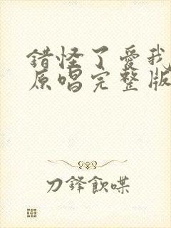 错怪了爱我的人原唱完整版