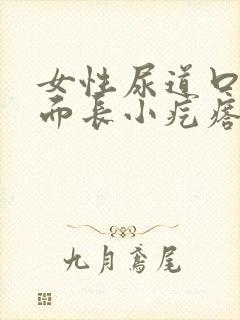 女性尿道口里面面长小疙瘩是怎么回事封面