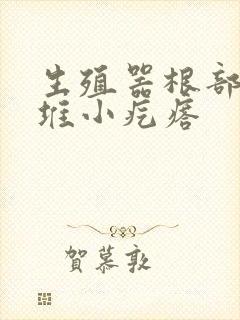 生殖器根部有一堆小疙瘩