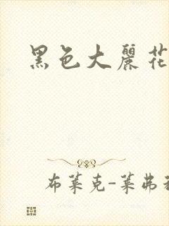黑色大丽花图片