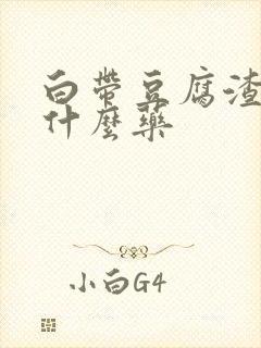 白带豆腐渣痒用什么药