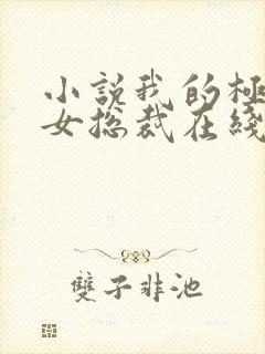 小说我的极品美女总裁在线