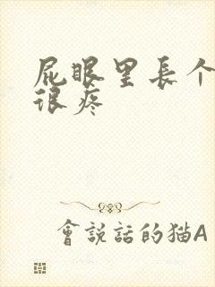 屁眼里长个肉球很疼封面