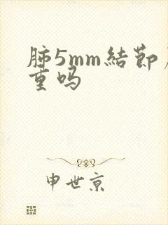 肺5mm结节严重吗