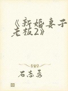《新婚妻子与菜老板2》封面