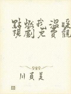 点燃我温暖你电视剧免费观看完