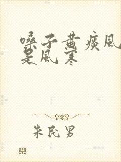 嗓子黄痰风热还是风寒