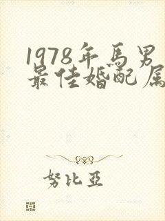 1978年马男最佳婚配属相