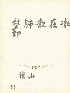 双肺散在微小结节