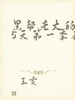 黑帮老大的365天第一季在线观看