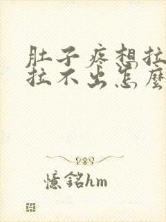 肚子疼想拉屎又拉不出怎么回事