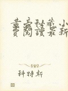 黄帝秘藏小说免费阅读最新章节封面