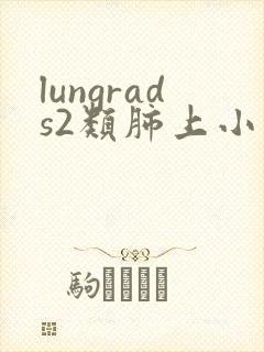 lungrads2类肺上小结节