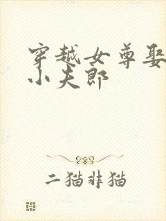 穿越女尊娶官配小夫郎