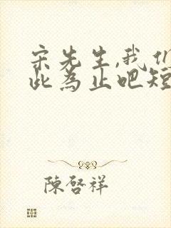 宋先生,我们到此为止吧短剧全集