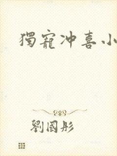 独宠冲喜小夫郎