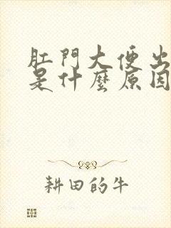 肛门大便出血疼是什么原因