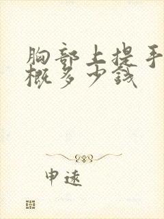 胸部上提手术大概多少钱