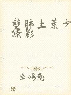 双肺上叶少许索条影