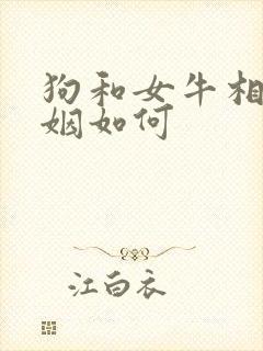 狗和女牛相配婚姻如何