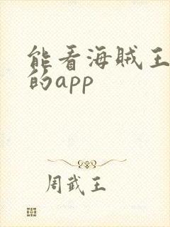 能看海贼王动漫的app