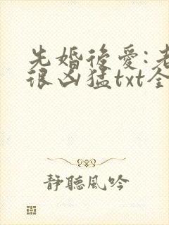 先婚后爱:老公很凶猛txt全文下载