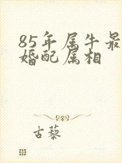85年属牛最佳婚配属相
