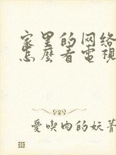 家里的网络电视怎么看电视台节目封面