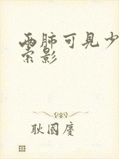 两肺可见少许条索影