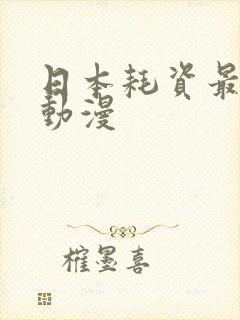 日本耗资最大的动漫