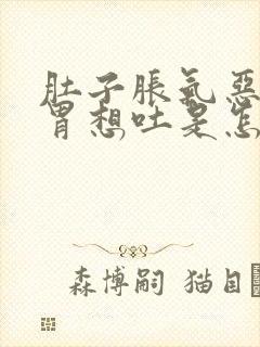 肚子胀气恶心反胃想吐是怎么办