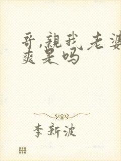 哥,亲我老婆很爽是吗封面