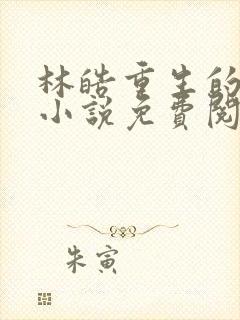 林皓重生的官场小说免费阅读