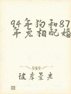 94年狗和87年兔相配婚姻如何封面